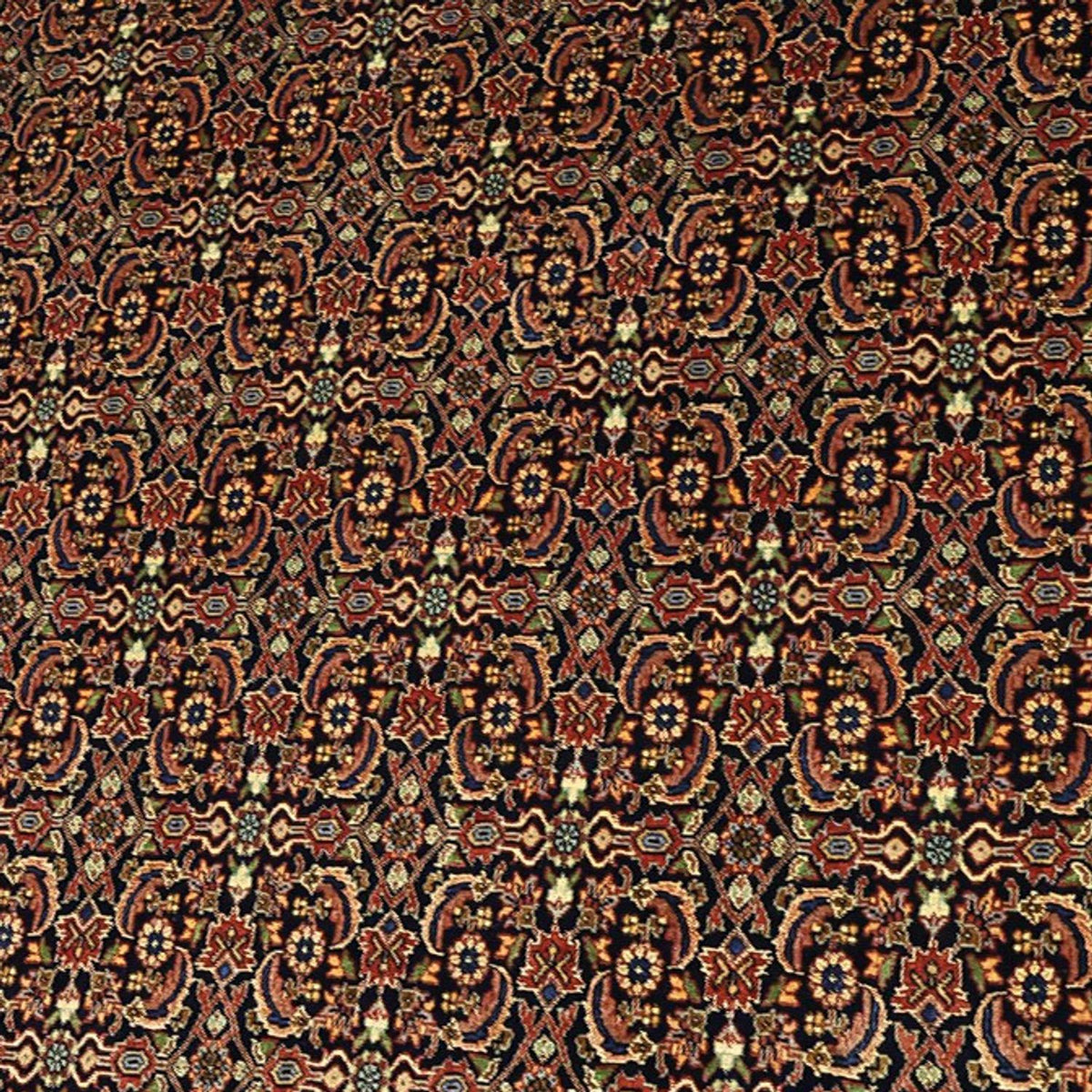 Perser Rug - Bidjar - Royal - 342 x 252 cm - terracotta