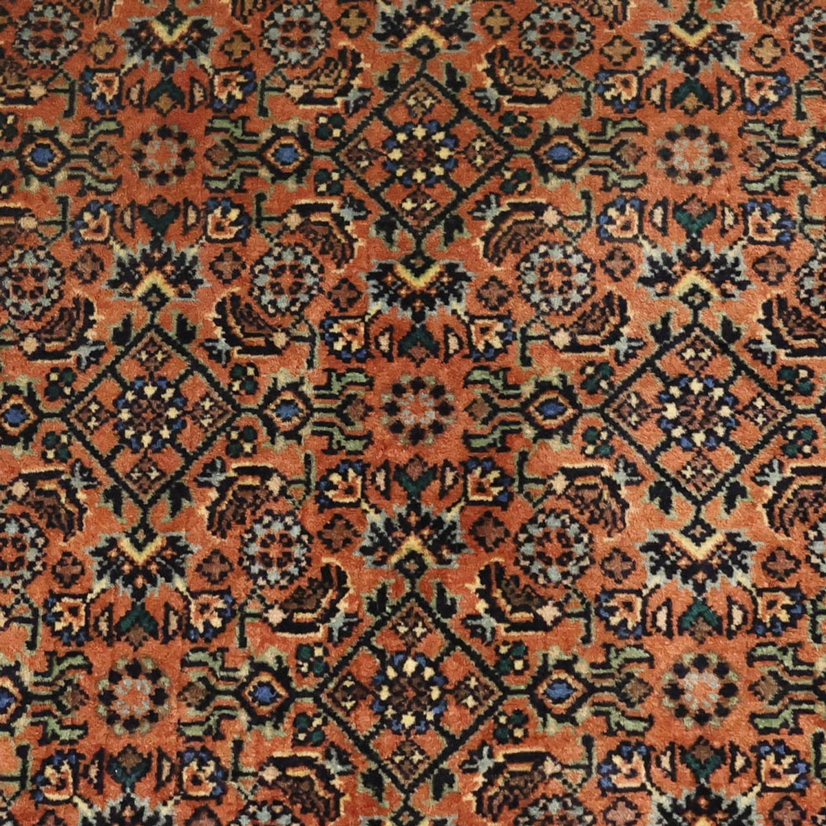 Perser Rug - Bidjar - 144 x 71 cm - dark beige