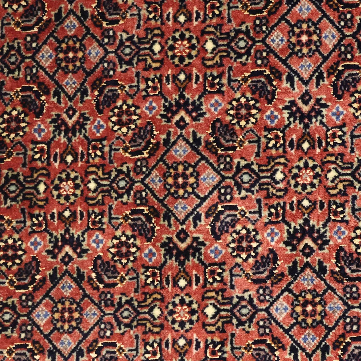 Perser Rug - Bidjar - 148 x 90 cm - rust