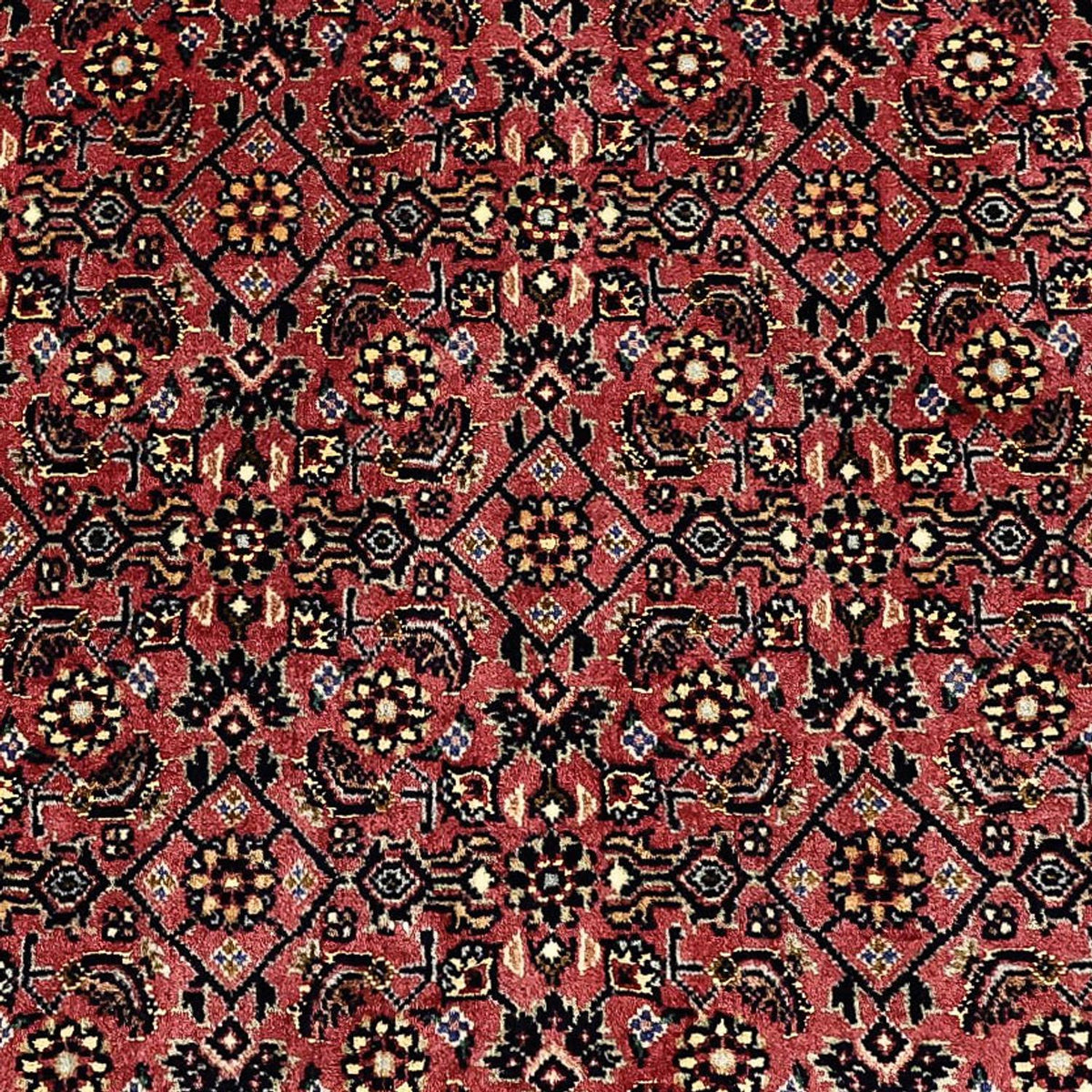 Perser Rug - Bidjar - Royal - 204 x 152 cm - dark beige
