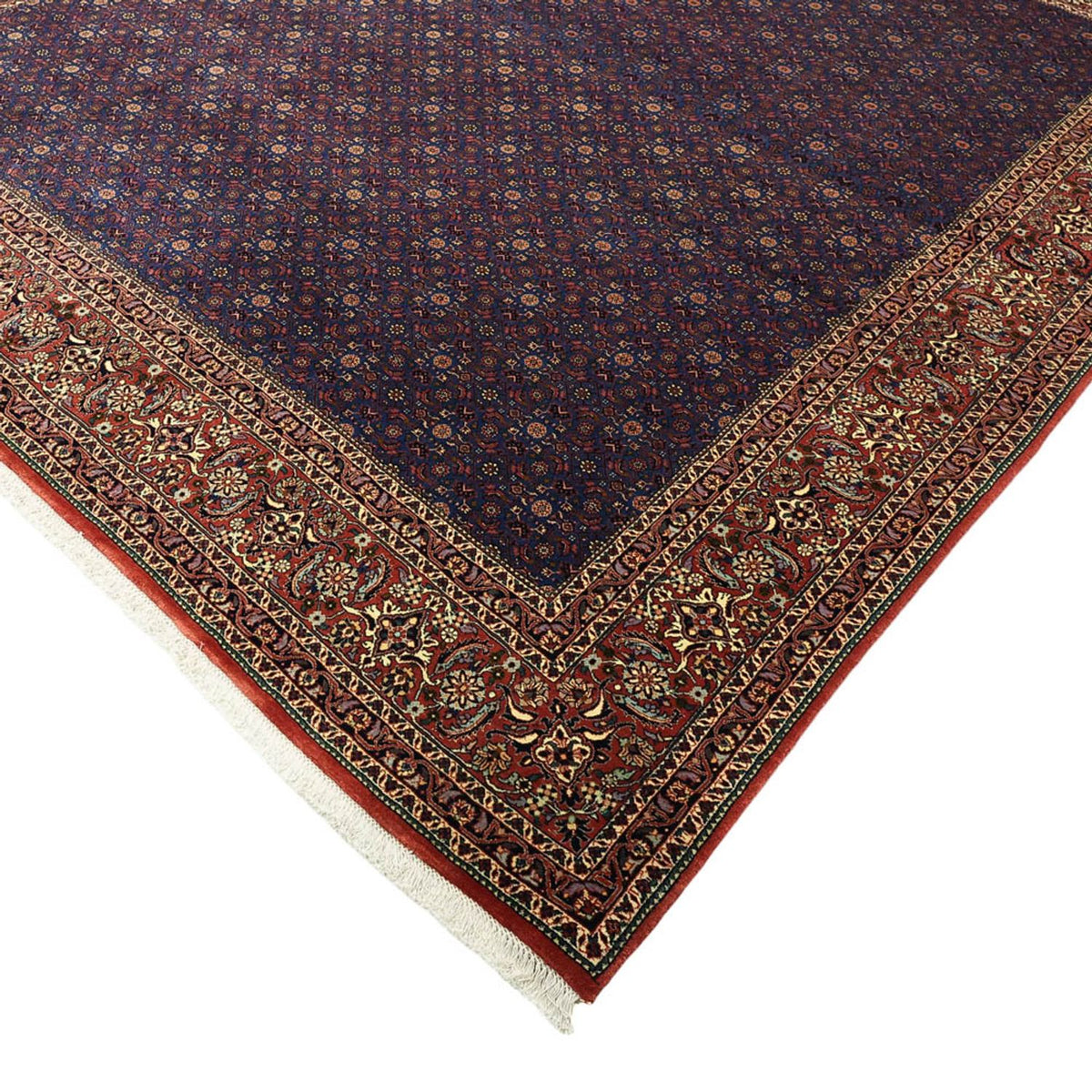 Perser Rug - Bidjar - Royal - 286 x 255 cm - dark blue