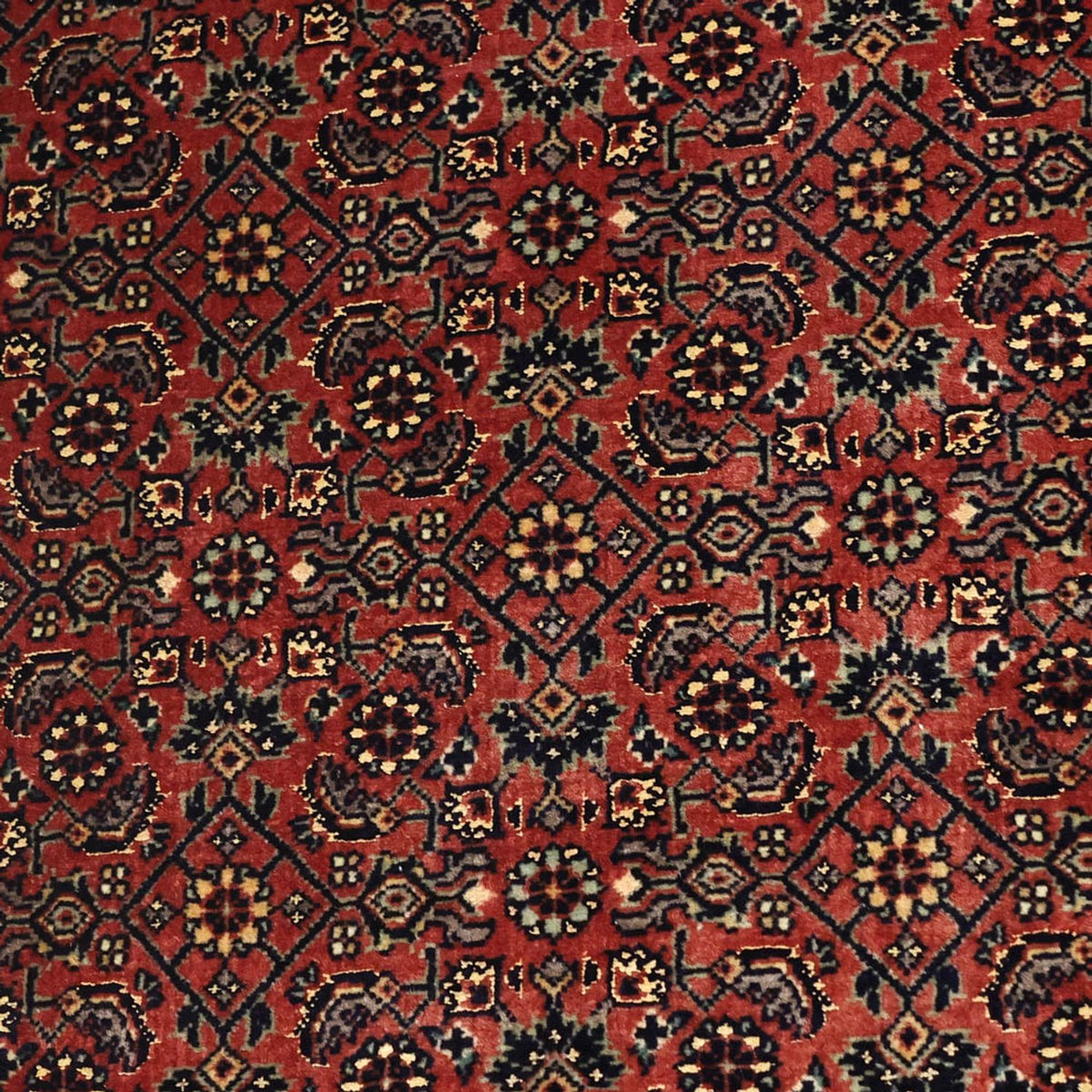 Perser Rug - Bidjar - Royal - 148 x 89 cm - rust