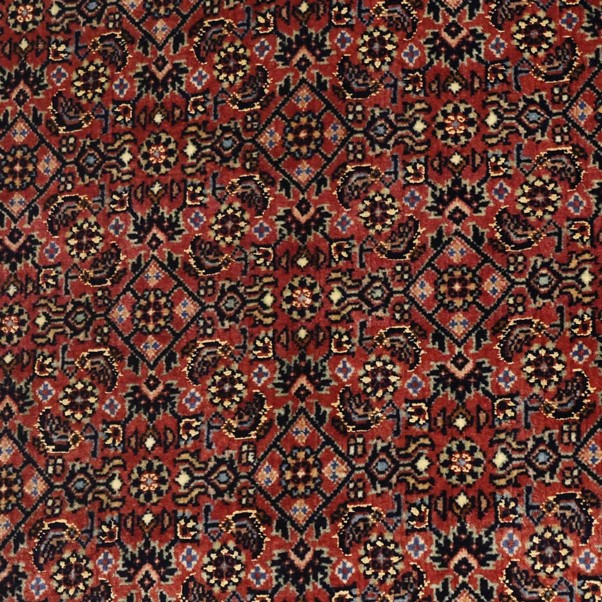 Perser Rug - Bidjar - Royal - 148 x 91 cm - dark beige
