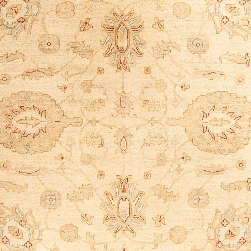 Ziegler Rug - 307 x 212 cm - beige