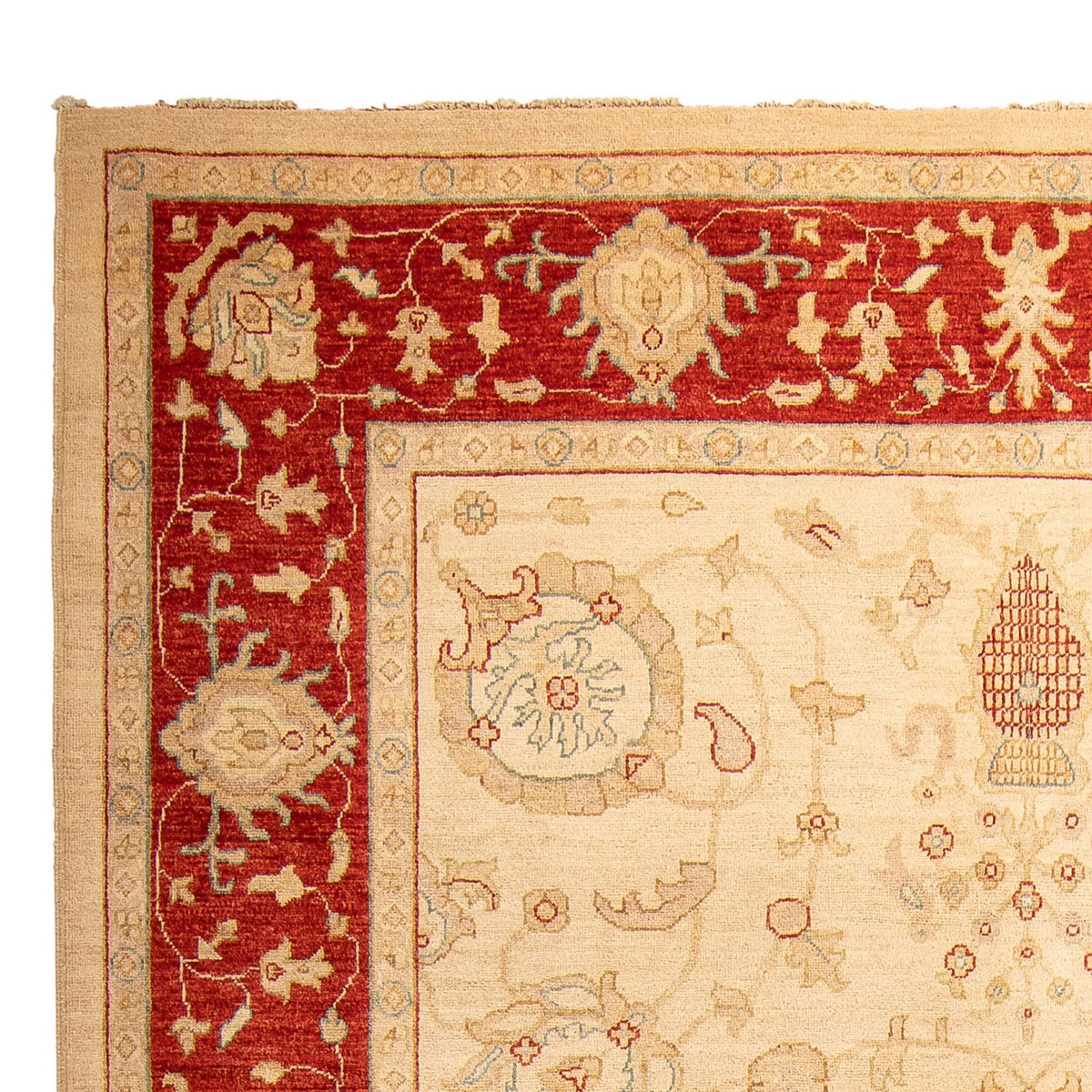 Ziegler Rug - 307 x 212 cm - beige