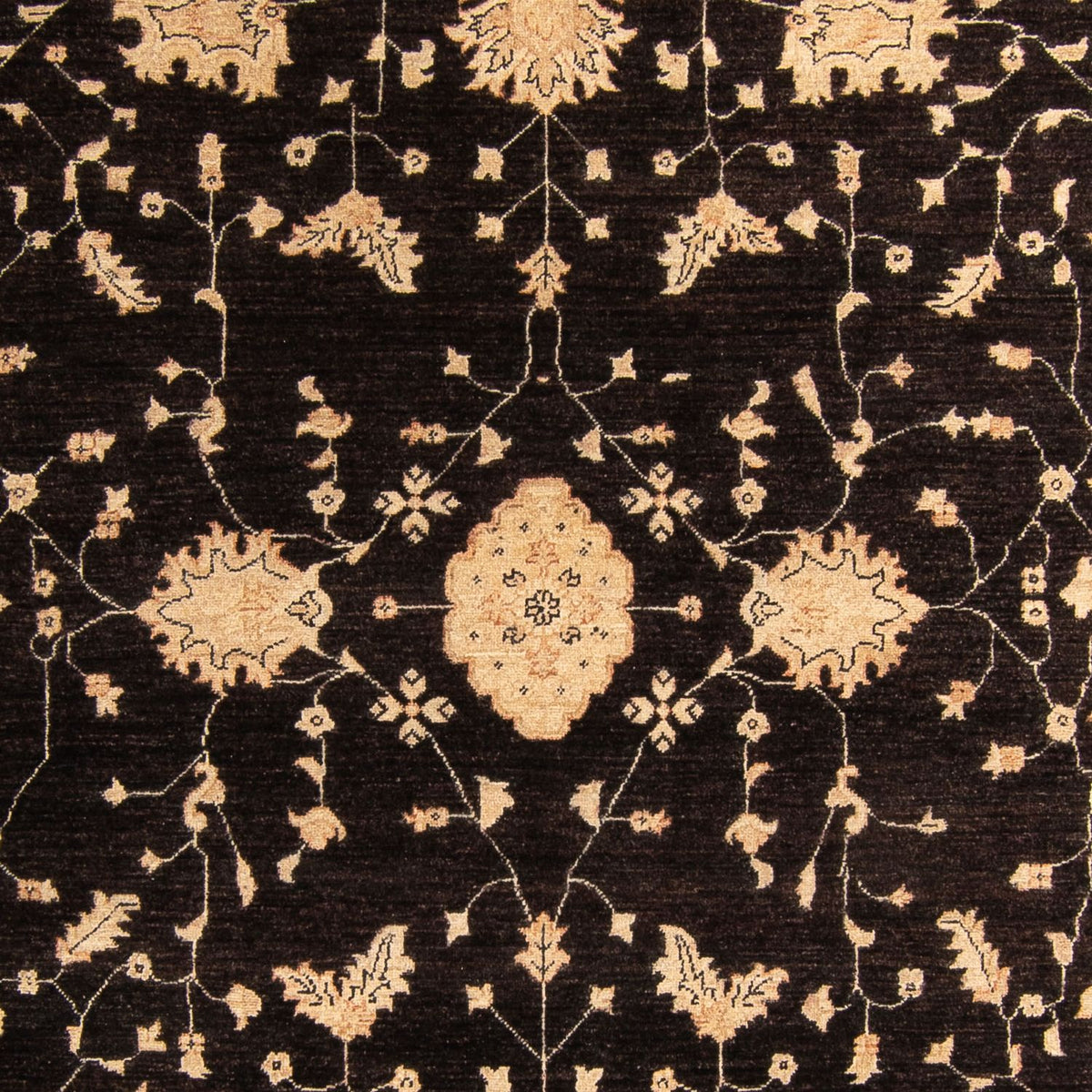 Ziegler Rug - 296 x 209 cm - dark brown