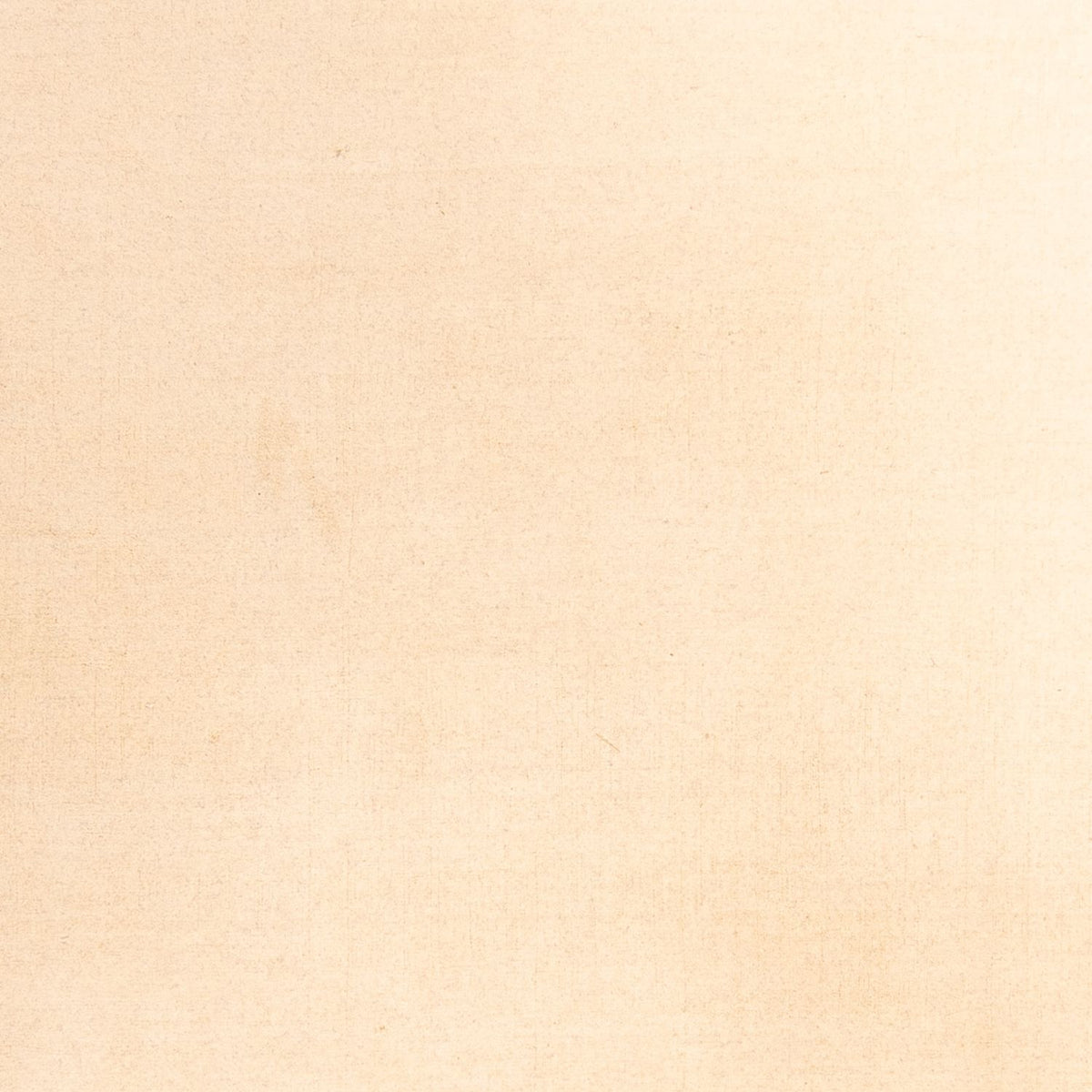 Gabbeh Rug - Softy - 288 x 205 cm - beige