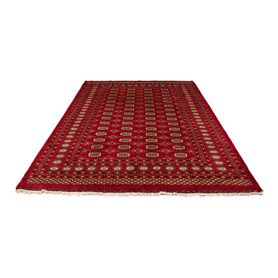 Pakistani Rug 208x307cm - Oriental Rug