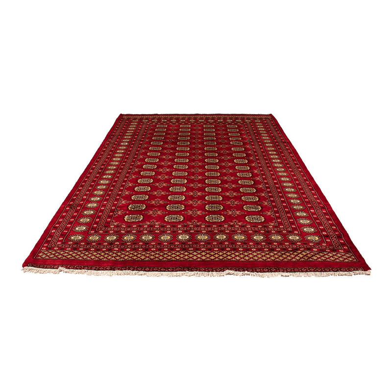 Pakistani Rug - 307 x 208 cm - dark red