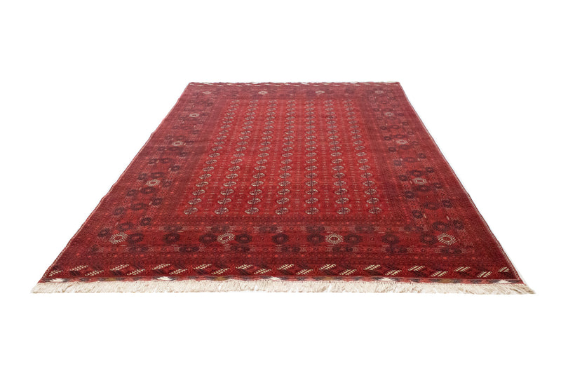 Afghan Rug - Bukhara - 299 x 198 cm - dark red