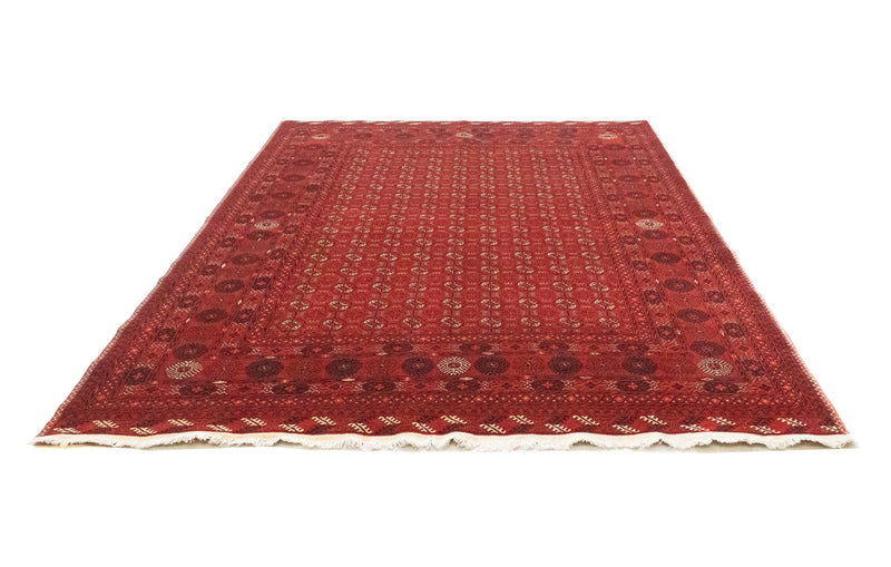 Afghan Rug - Bukhara - 295 x 199 cm - dark red