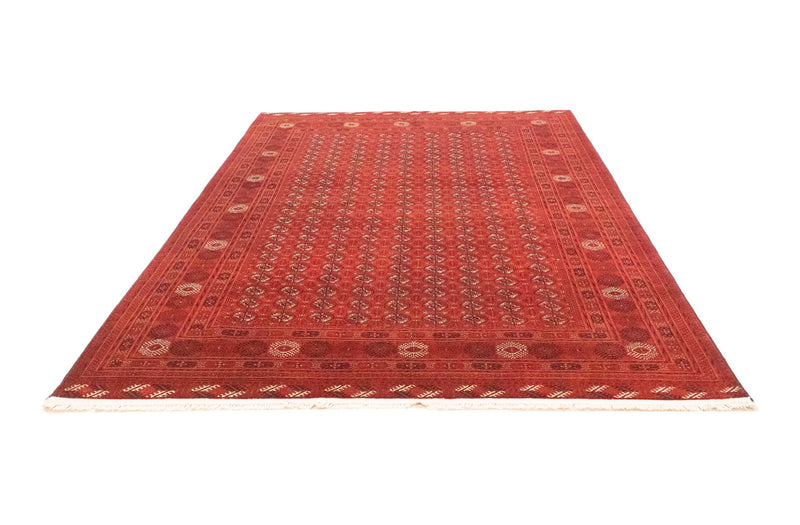 Afghan Rug - Bukhara - 293 x 196 cm - red