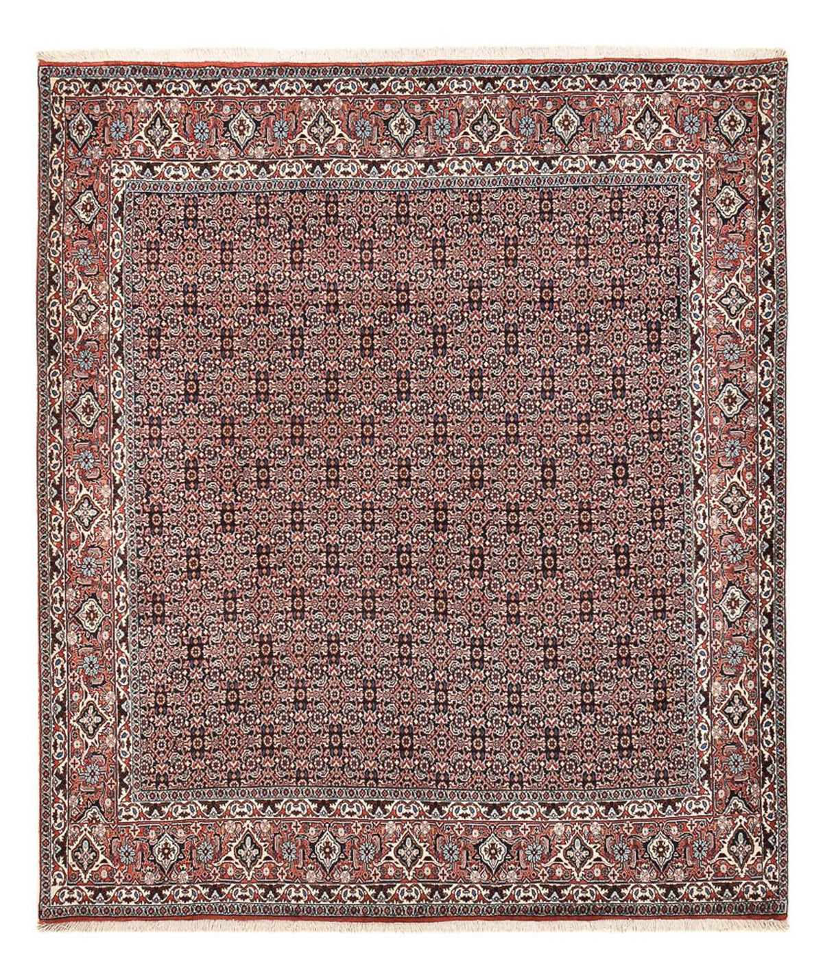 Perser Rug - Bidjar - 243 x 206 cm - rust