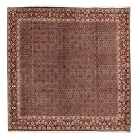 Perser Rug - Bidjar square  - 303 x 293 cm - rust
