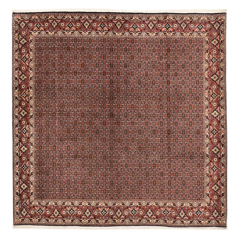 Perser Rug - Bidjar square  - 303 x 293 cm - rust