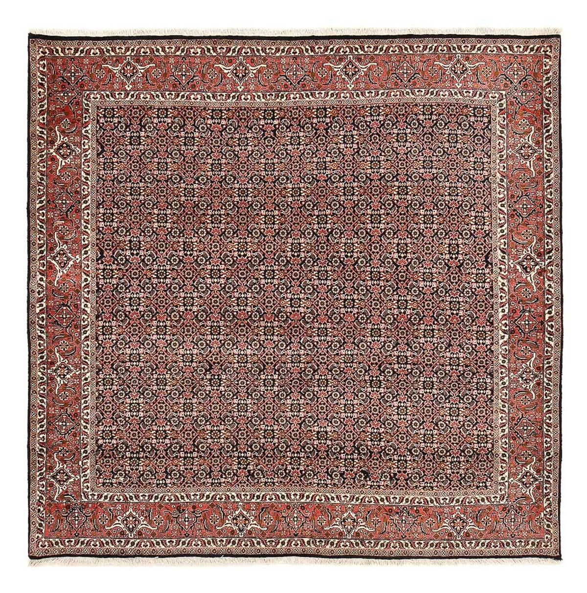 Perser Rug - Bidjar square  - 205 x 205 cm - rust