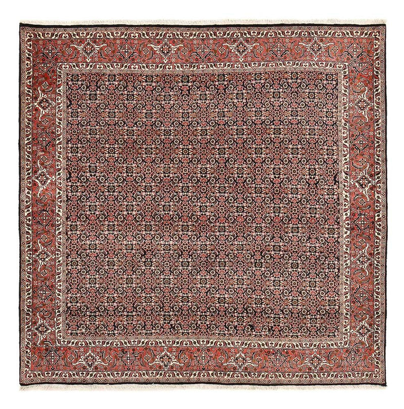 Perser Rug - Bidjar square  - 205 x 205 cm - rust