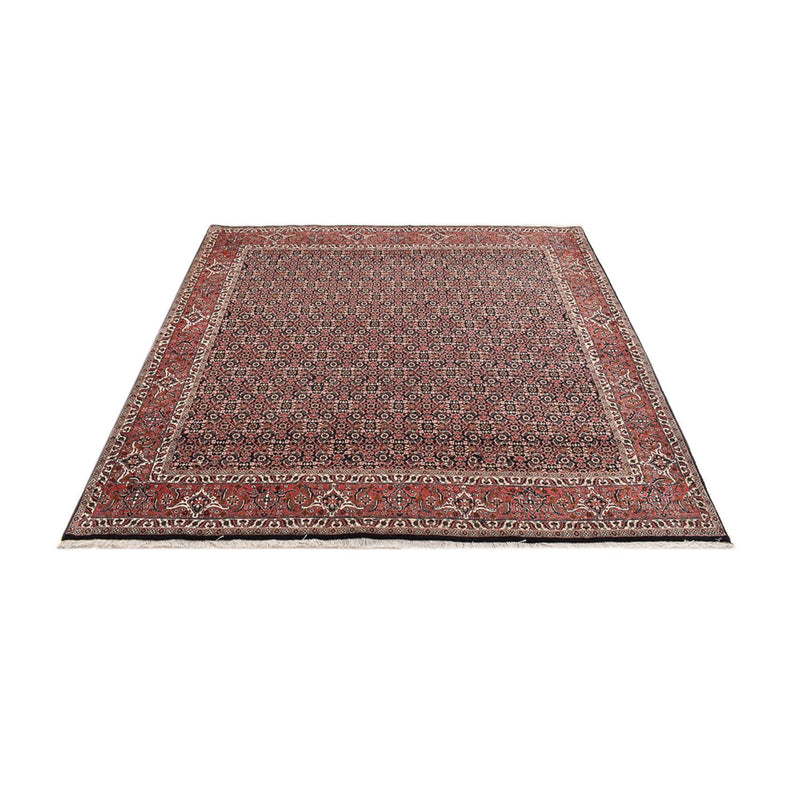 Perser Rug - Bidjar square  - 205 x 205 cm - rust