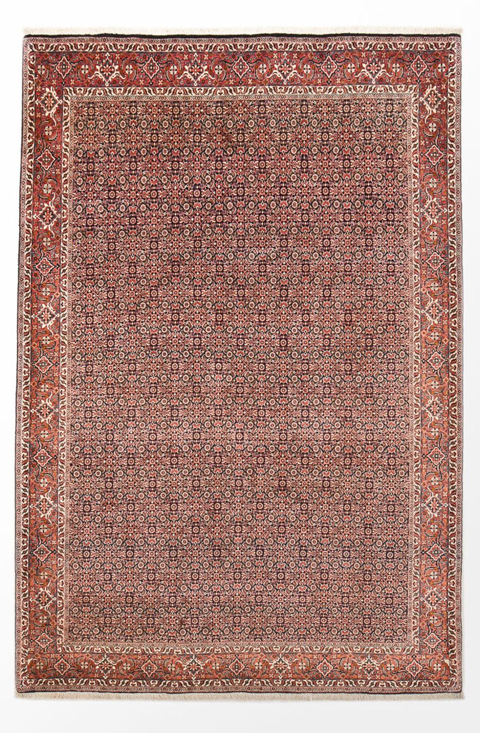 Perser Rug - Bidjar - 305 x 203 cm - rust