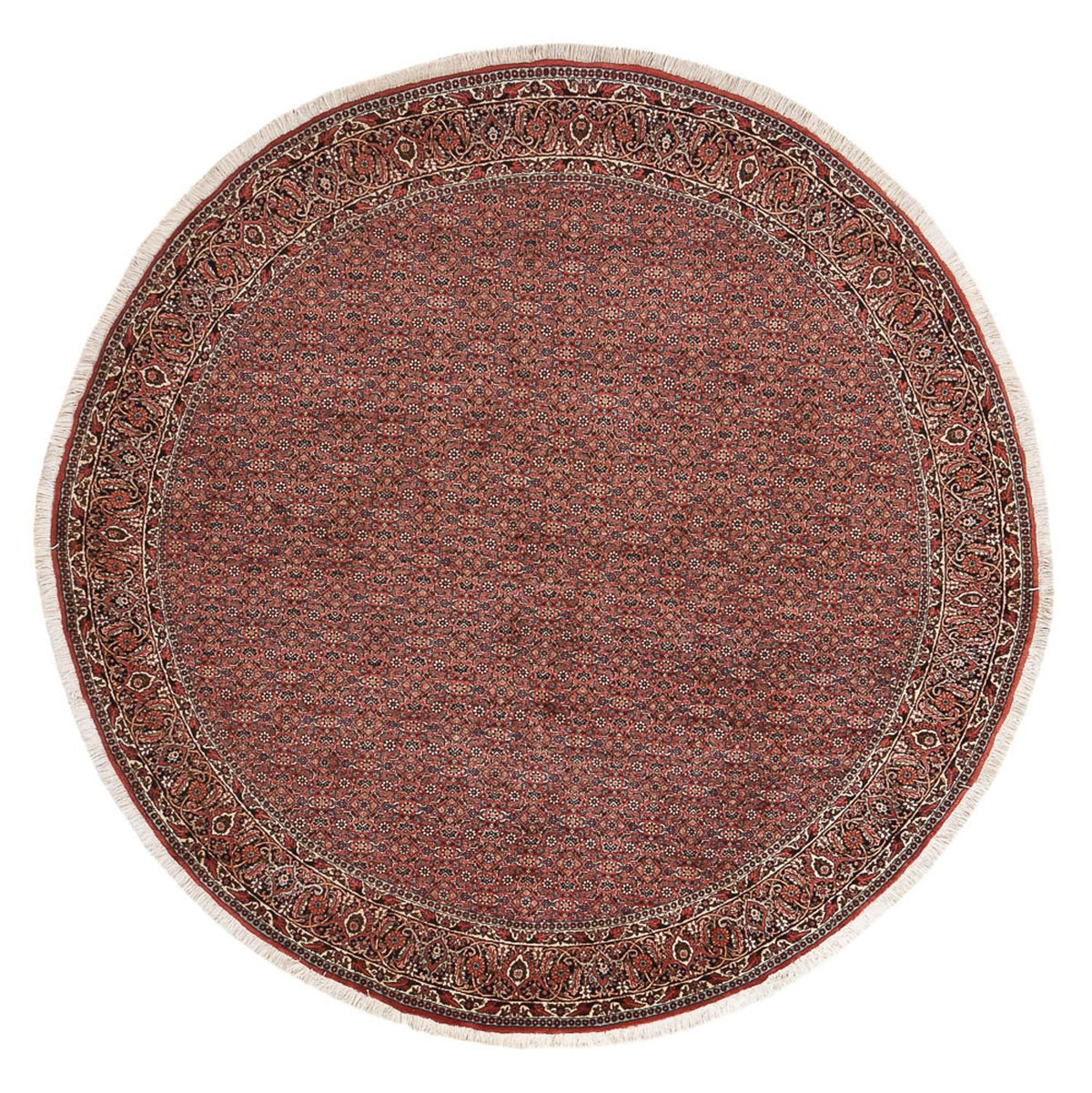 Perser Rug - Bidjar round  - 255 x 255 cm - rust