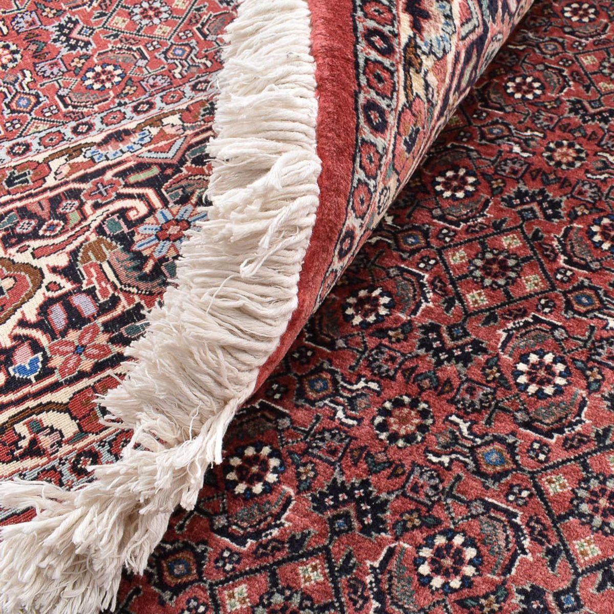 Perser Rug - Bidjar round  - 300 x 300 cm - light red