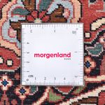 Perser Rug - Bidjar round  - 300 x 300 cm - light red