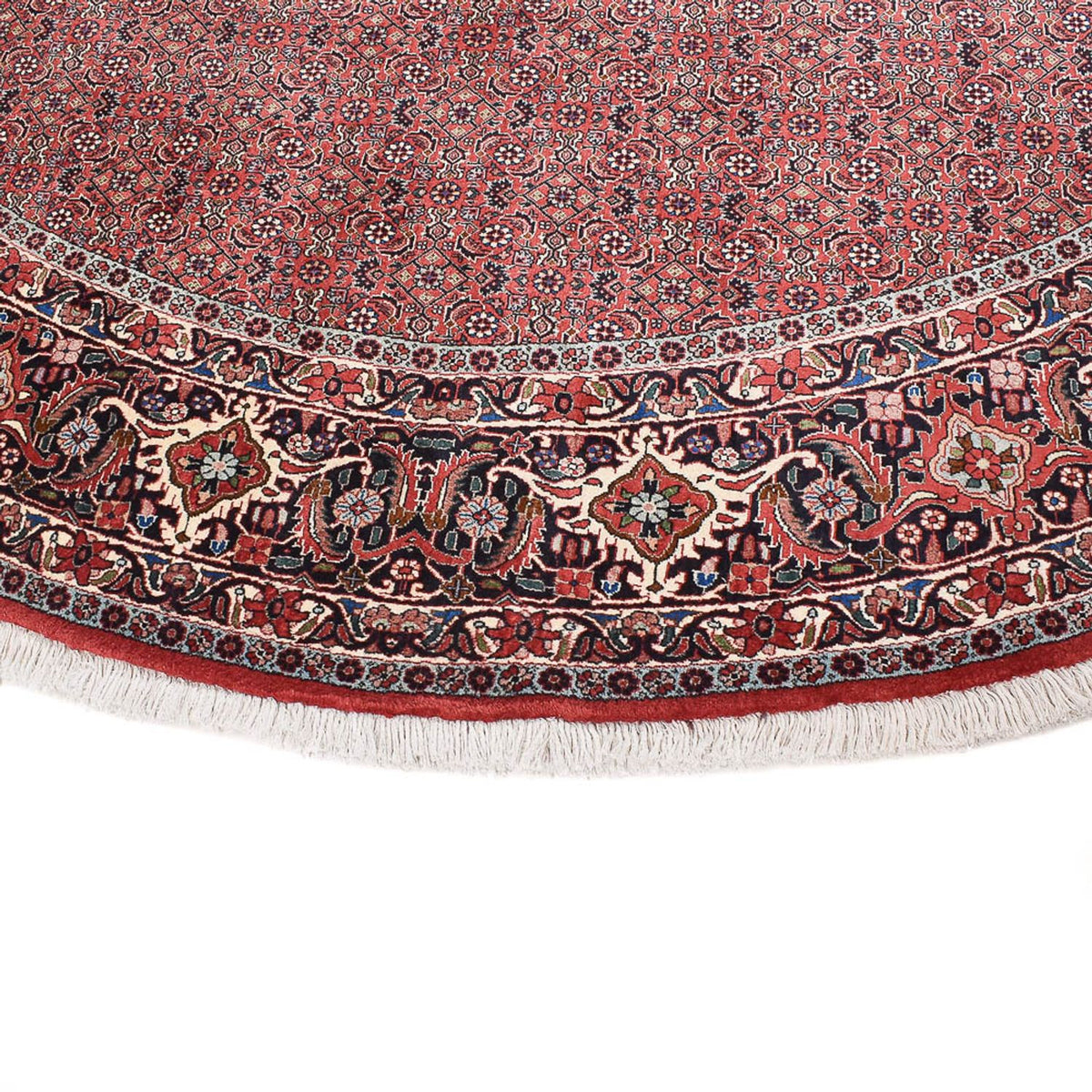 Perser Rug - Bidjar round  - 300 x 300 cm - rust