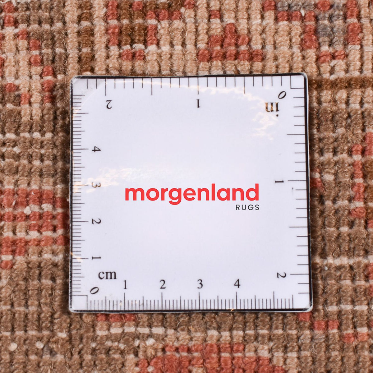 Ziegler Rug - 317 x 257 cm - rust