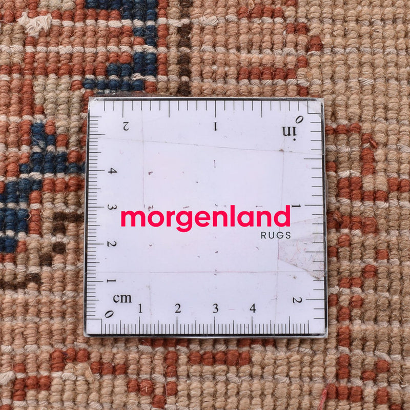 Ziegler Rug - 284 x 210 cm - light blue