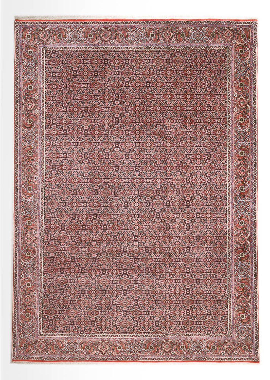 Perser Rug - Bidjar - 362 x 258 cm - rust
