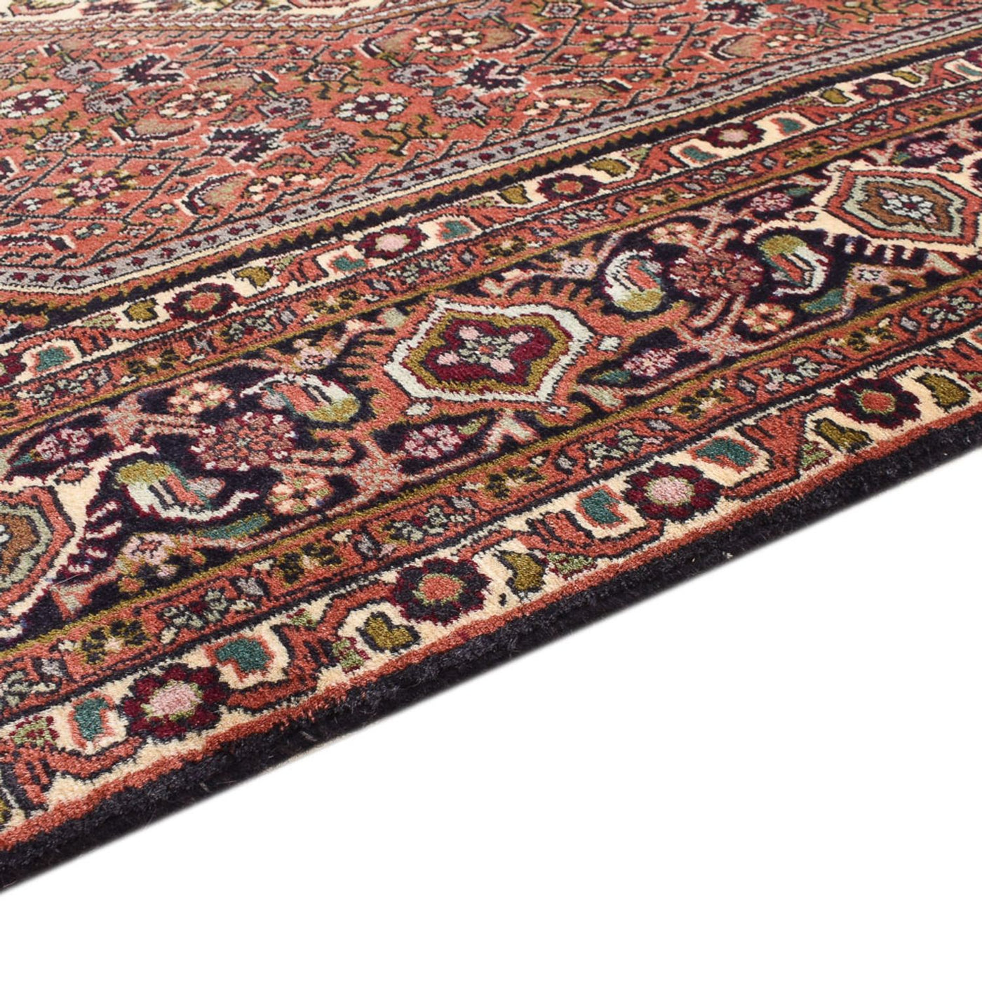 Bidjar Rug 251x150cm - Persian Rugs