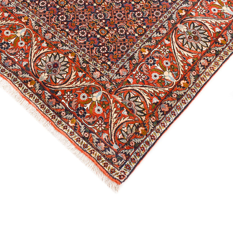 Bidjar Rug 290x210cm - Persian Rugs