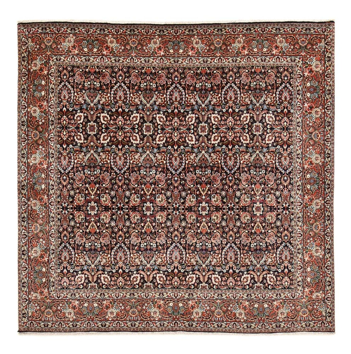 Perser Rug - Bidjar square  - 252 x 252 cm - rust
