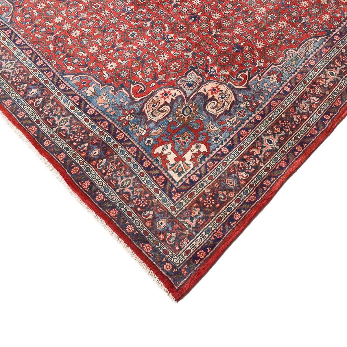 Perser Rug - Bidjar - 300 x 221 cm - light red