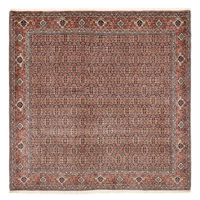 Perser Rug - Bidjar square  - 204 x 203 cm - rust