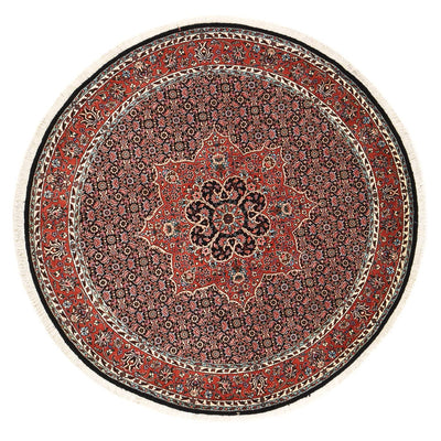Bidjar Rug 150x150cm - Persian Rugs - rust