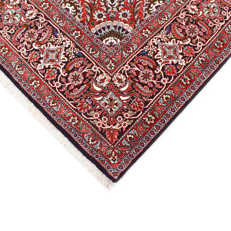 Bidjar Rug 255x348cm - Persian Rugs