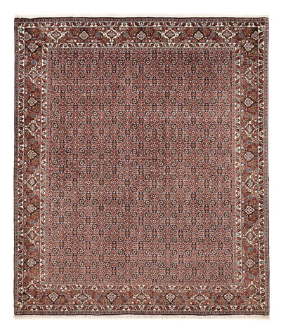 Bidjar Rug 202x239cm - Persian Rugs - rust