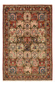 Bakhtiari Rug 239x157cm - Persian Rugs