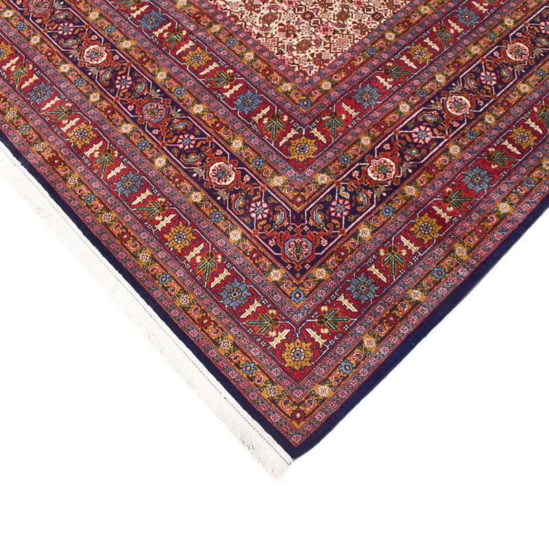 Tabriz Rug 284x416cm - Persian Rugs