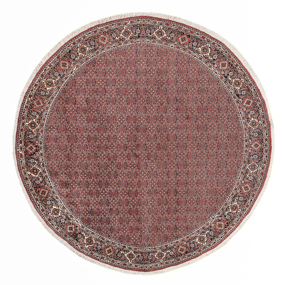 Perser Rug - Bidjar round  - 300 x 300 cm - light red