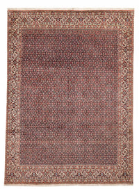 Perser Rug - Bidjar - 337 x 247 cm - rust