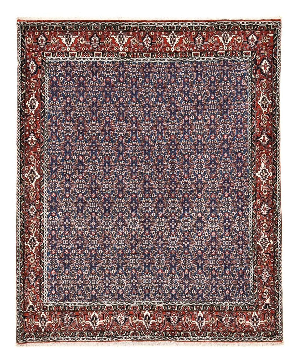 Perser Rug - Bidjar - 246 x 201 cm - purple