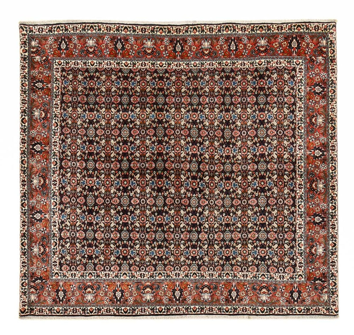 Perser Rug - Bidjar square  - 254 x 243 cm - dark red