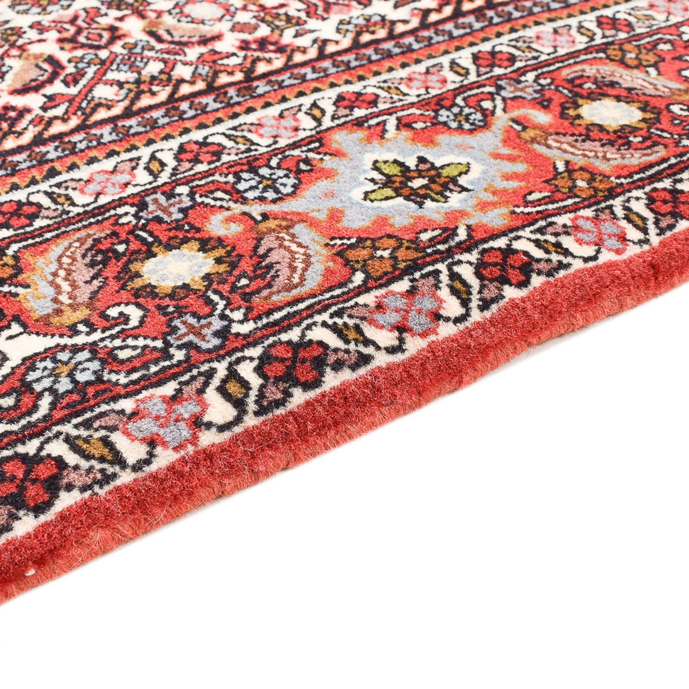 Bidjar Rug 170x115cm - Persian Rugs