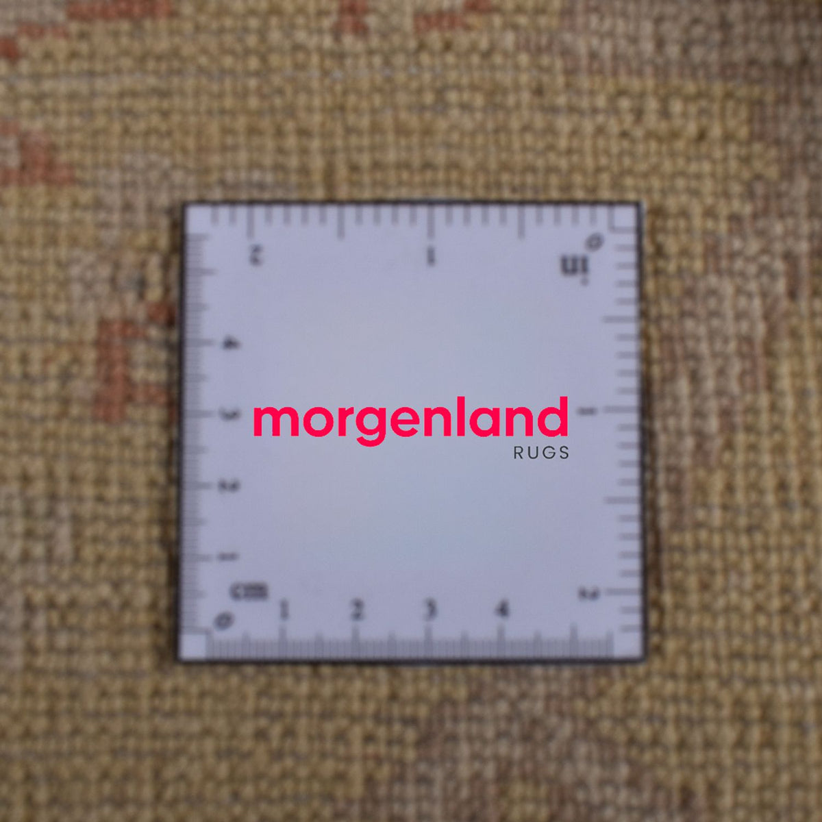 Ziegler Rug - 320 x 218 cm - caramel