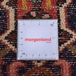 Runner Perser Rug - Nomadic - 287 x 68 cm - red