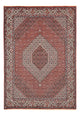 Bidjar Teppich 292x205cm - Perserteppich