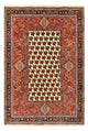 Kashkuli Rug 260x172cm - Persian Rugs
