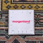 Perser Rug - Nomadic - 300 x 195 cm - light red